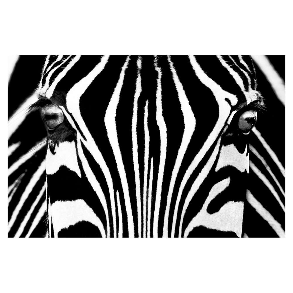 Фототапет „Black and White I“ — едър черно-бял план на лицето на зебра с контрастни ивици